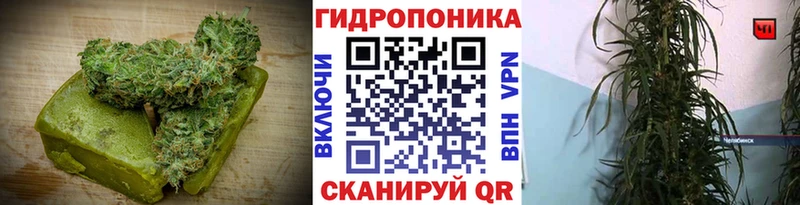 Canna-Cookies конопля  Раменское 