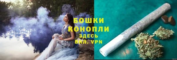 ПСИЛОЦИБИНОВЫЕ ГРИБЫ Абаза