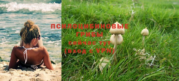 Альфа ПВП Алексеевка