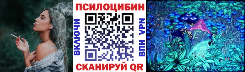 Псилоцибиновые грибы Magic Shrooms  купить наркоту  KRAKEN ТОР  Раменское 