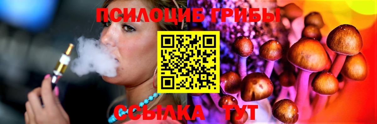 Раменское  Псилоцибиновые грибы мицелий  Вход с VPN 